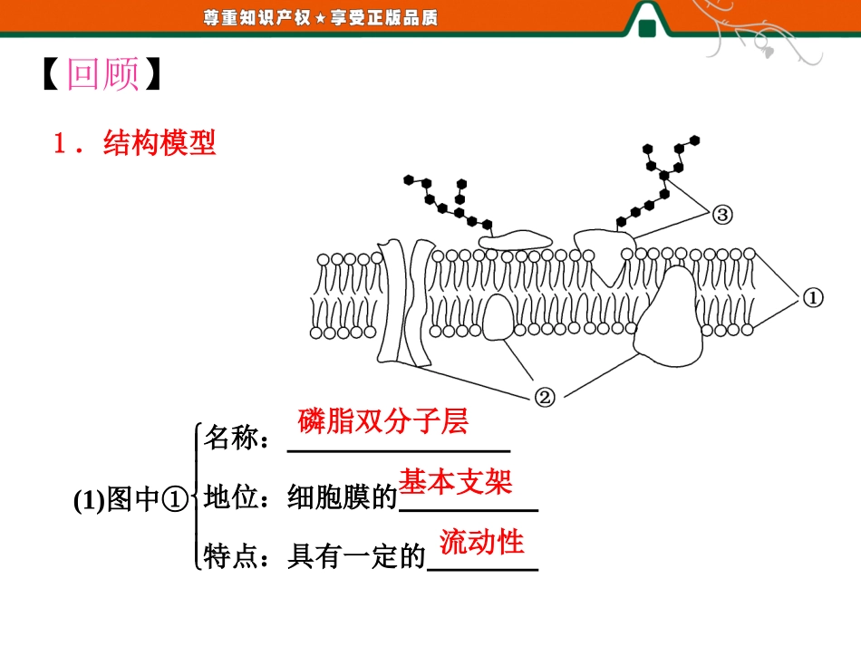 生物膜的流动镶嵌模型　物质跨膜运输的方式_第2页