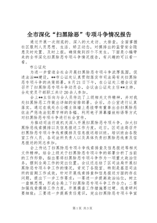 全市深化“扫黑除恶”专项斗争情况报告