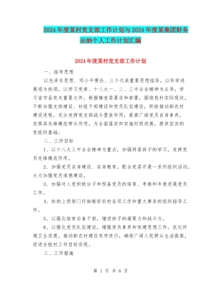 2024年度某村党支部工作计划与2024年度某集团财务出纳个人工作计划汇编