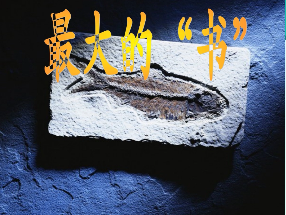 最大的书宋丽丽_第1页