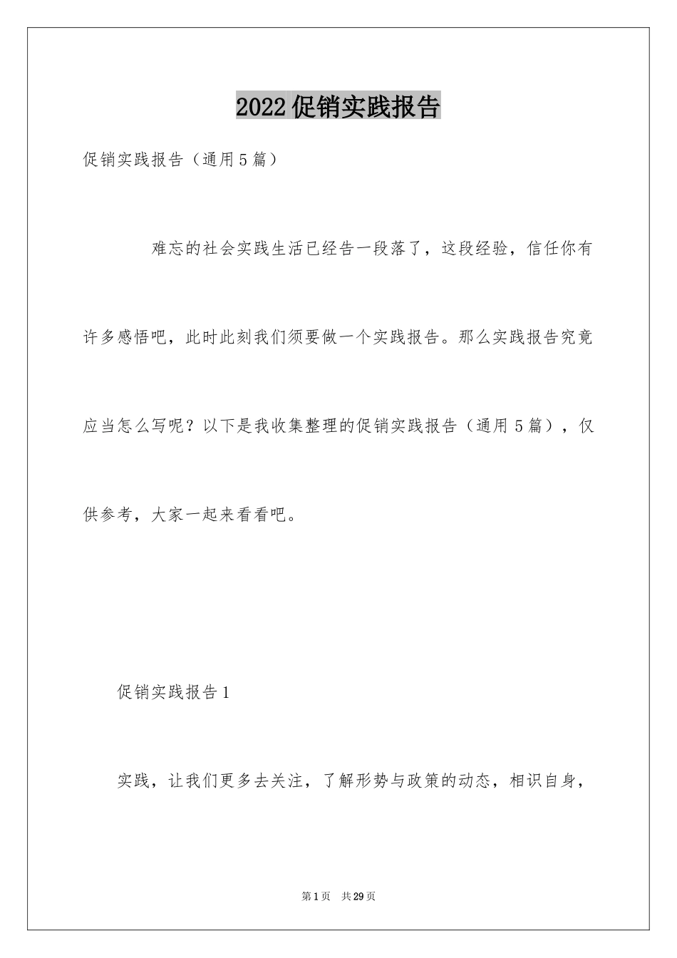 2024促销实践报告_第1页