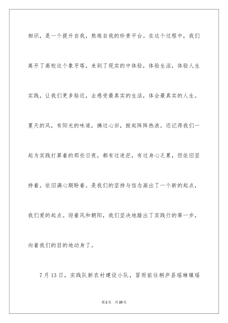 2024促销实践报告_第2页