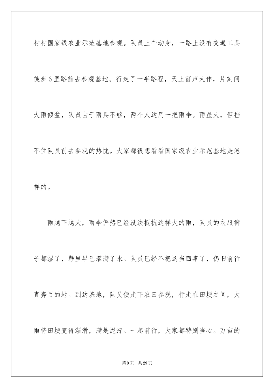 2024促销实践报告_第3页