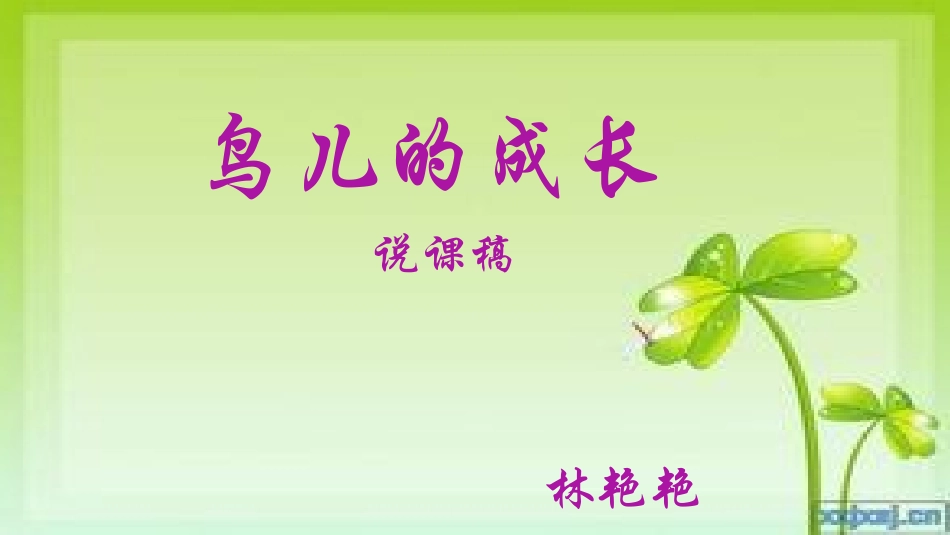 《鸟儿的成长》莫旗民族幼儿园林艳艳_第1页