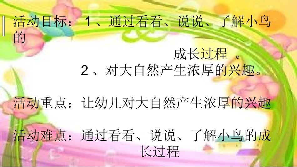 《鸟儿的成长》莫旗民族幼儿园林艳艳_第3页