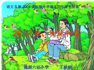 《父亲、树林和鸟》课件