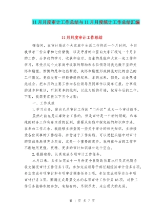 11月月度审计工作总结与11月月度统计工作总结汇编