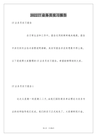 2024IT业务员实习报告_1
