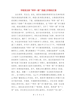 学校党支部“两学一做”党建工作情况汇报