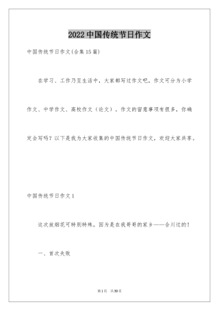 2024中国传统节日作文_27