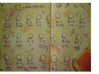 狐狸爸爸鸭儿子PPT