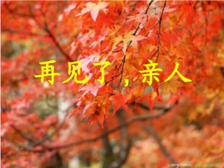 《再见了_亲人》