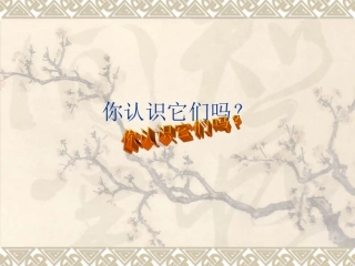 《旅鼠之谜》课件