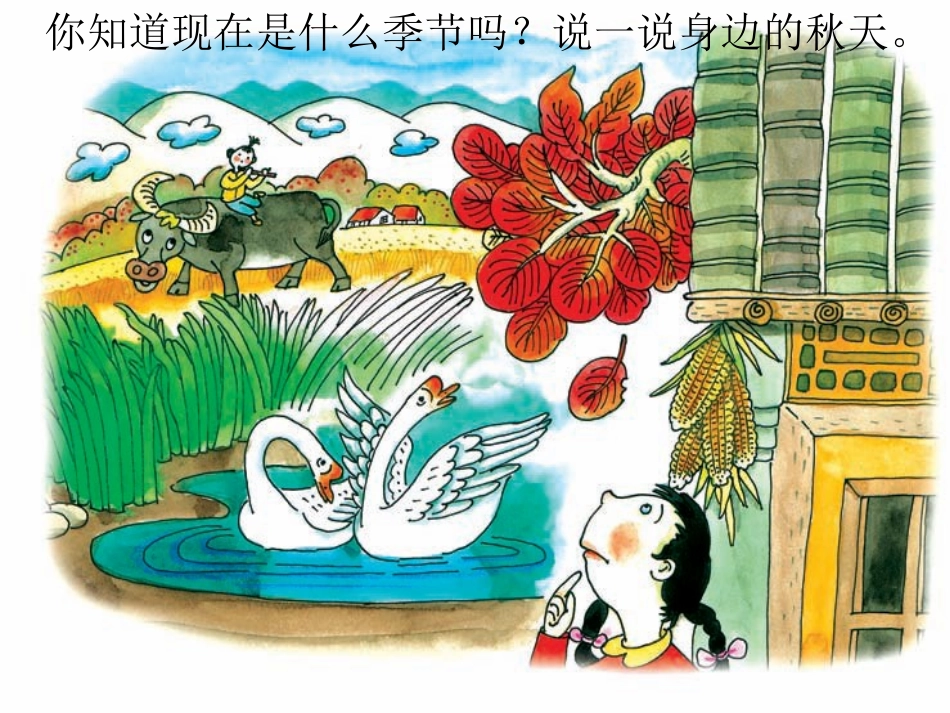 （语文A版）四年级语文上册课件秋的原野1_第2页