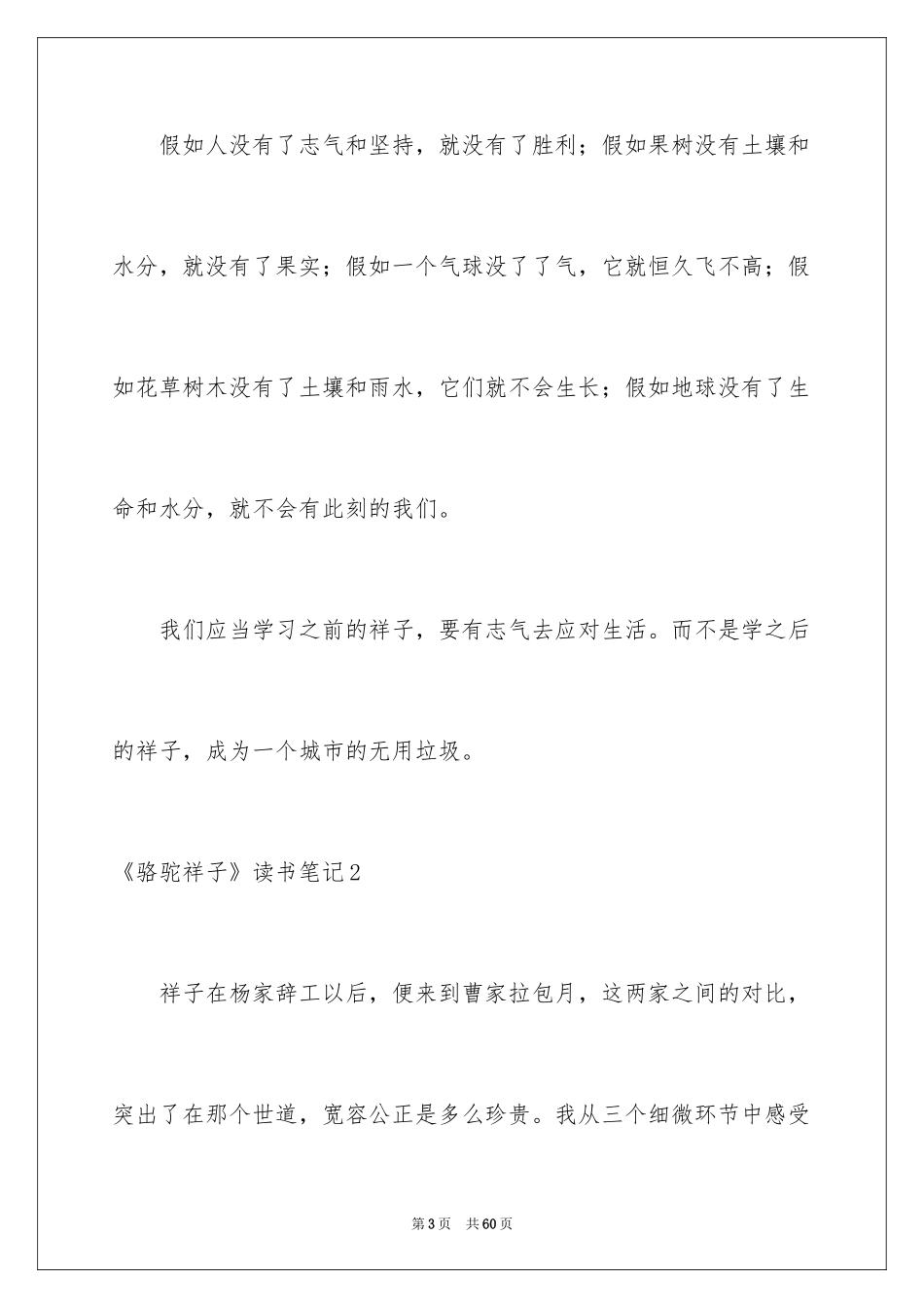 2024《骆驼祥子》读书笔记_9_第3页