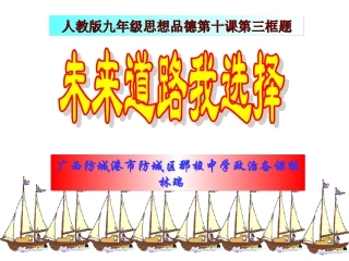 未来道路我选择