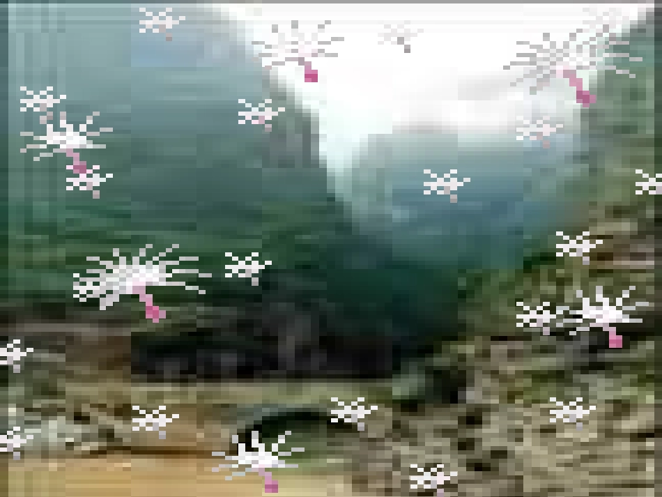 《三峡》公开课课件_第3页