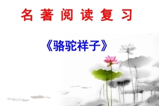 名著阅读复习教案《骆驼祥子》1