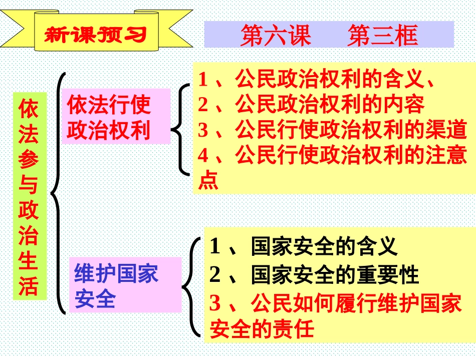 依法参与政治生活-林光辉_第3页