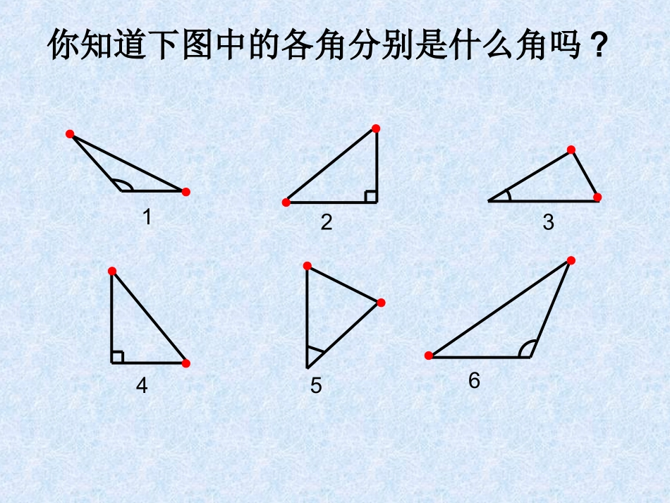 三角形分类定稿_第2页