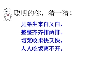 白白的牙齿课件