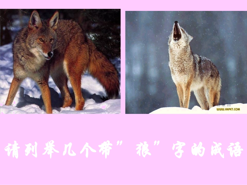 《狼》 (2)_第2页