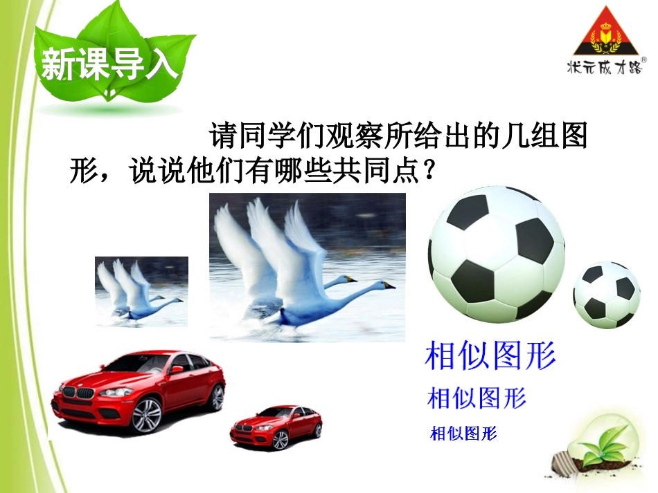 第1课时相似图形_第2页