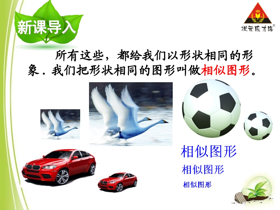 第1课时相似图形_第3页