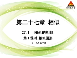 第1课时相似图形
