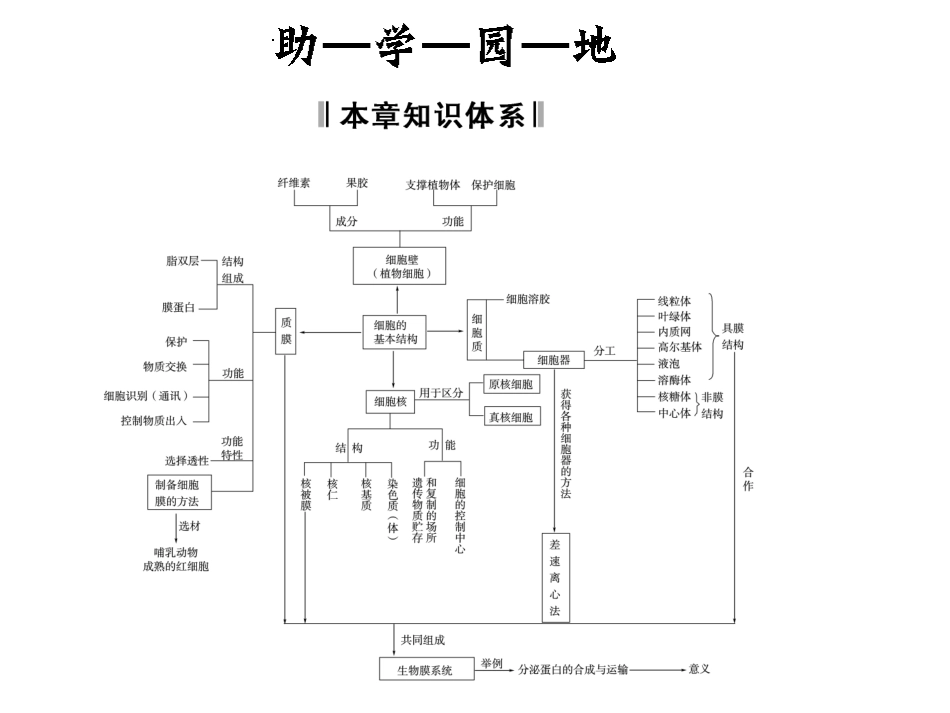 2013-2014学年高中生物第2章《细胞的结构》章末课件（浙科版必修1）（共18张PPT）_第2页