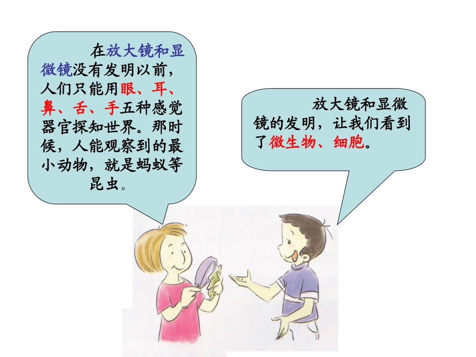 微小世界和我们_第3页