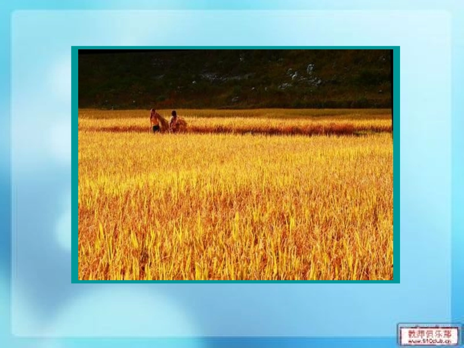 演示文稿-秋游去_第2页