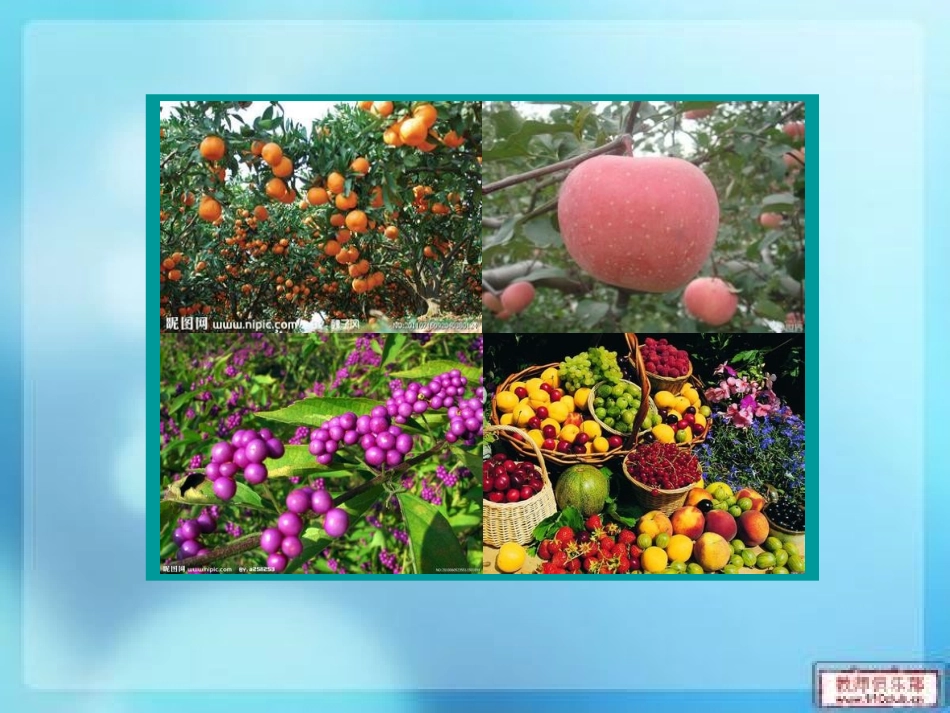 演示文稿-秋游去_第3页