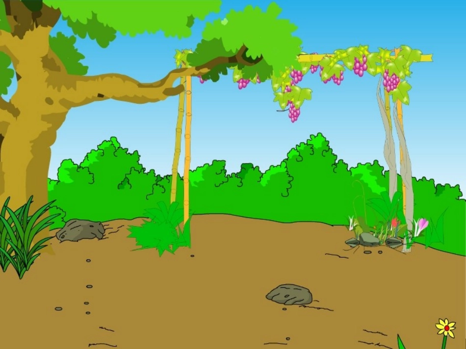 酸的和甜的课件_第3页