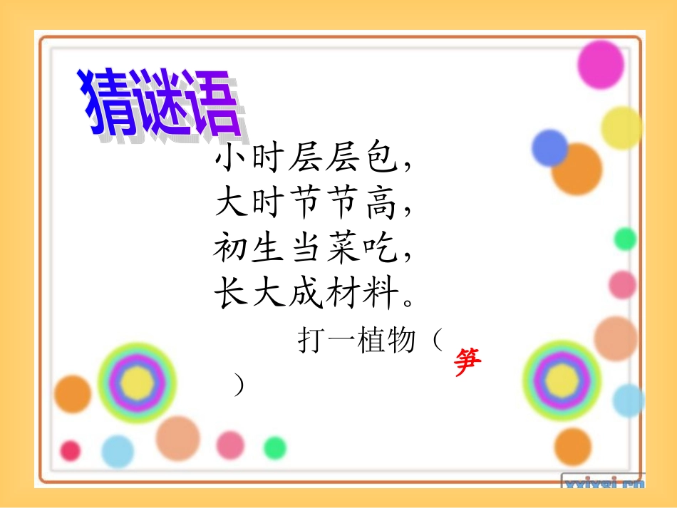 笋芽儿课件 _第1页