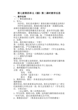 《猫的反思》
