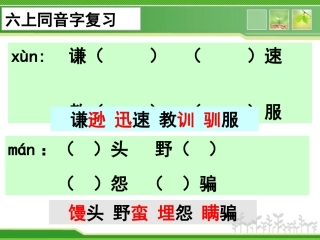 【201501】六上语文同音字