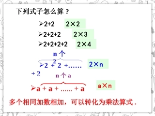 有理数的乘方（）