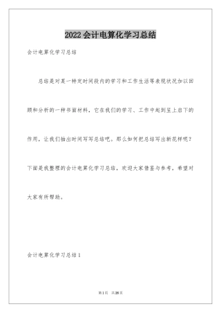 2024会计电算化学习总结