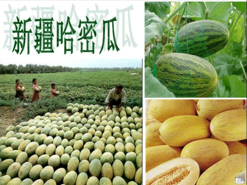 小巴郎，童年的太阳_第3页