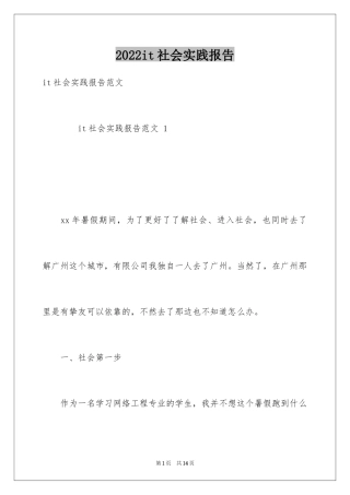 2024it社会实践报告