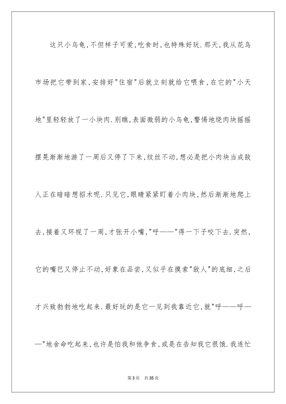 2024乌龟小学作文_3_第3页