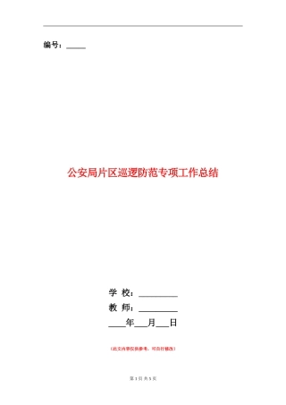 公安局片区巡逻防范专项工作总结