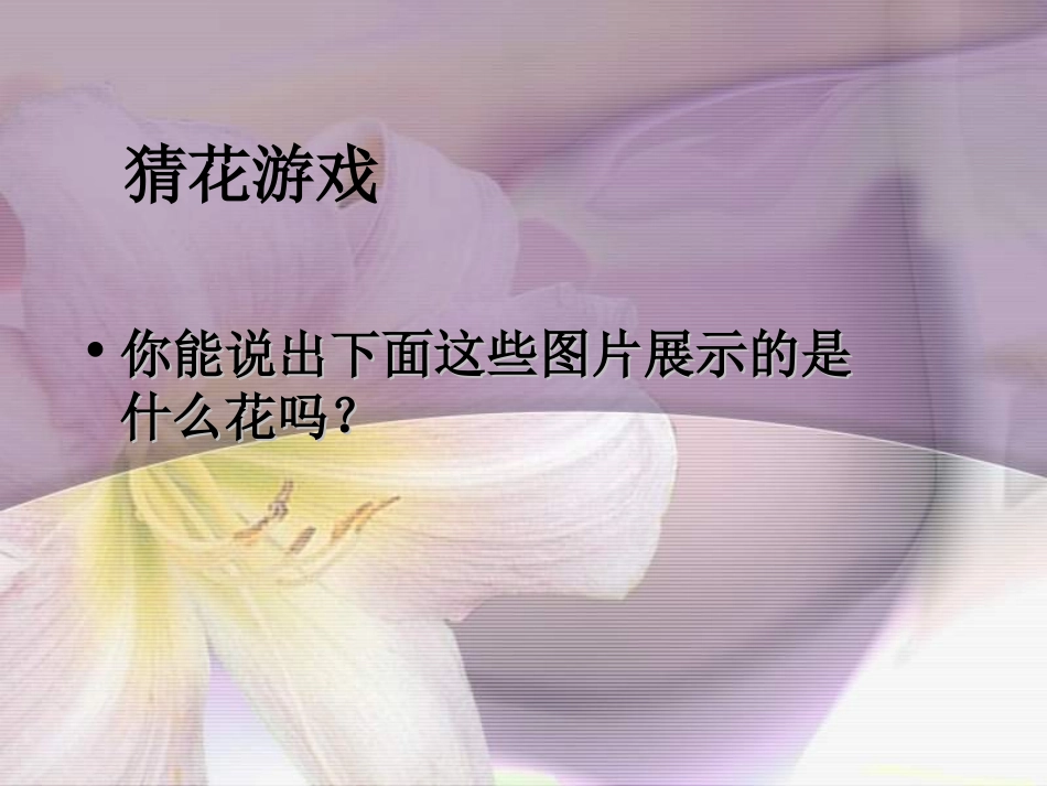 《各种各样的花》_第2页