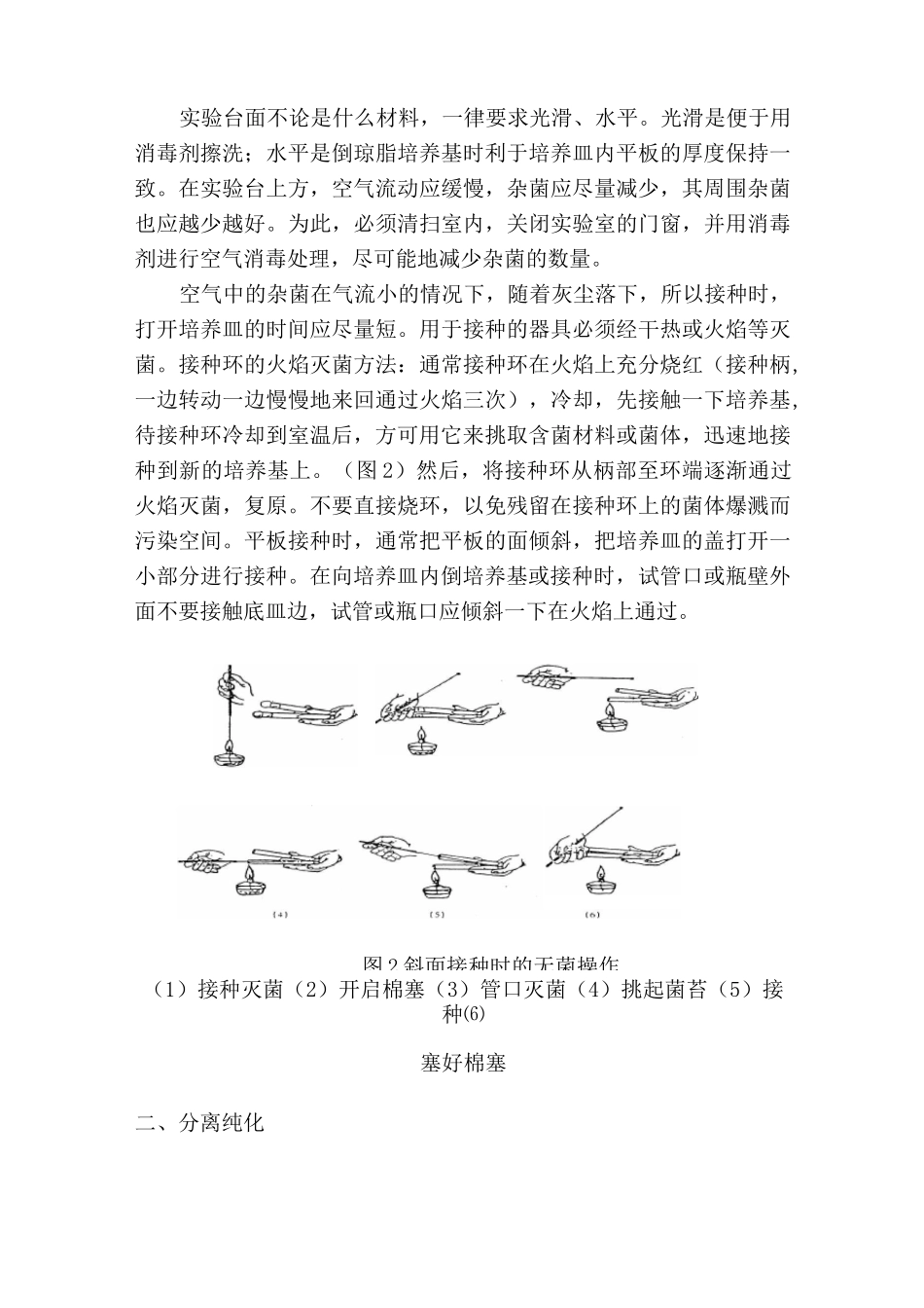 微生物的接种与培养_第3页