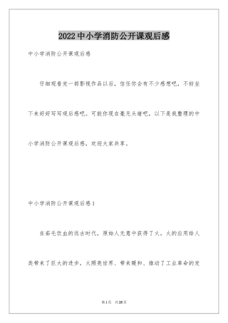 2024中小学消防公开课观后感