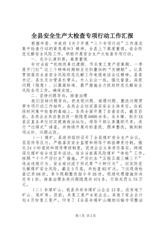 全县安全生产大检查专项行动工作汇报
