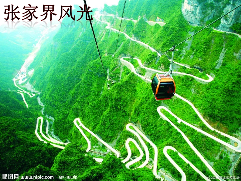 第一节分析人类活动对生态环境的影响_第2页