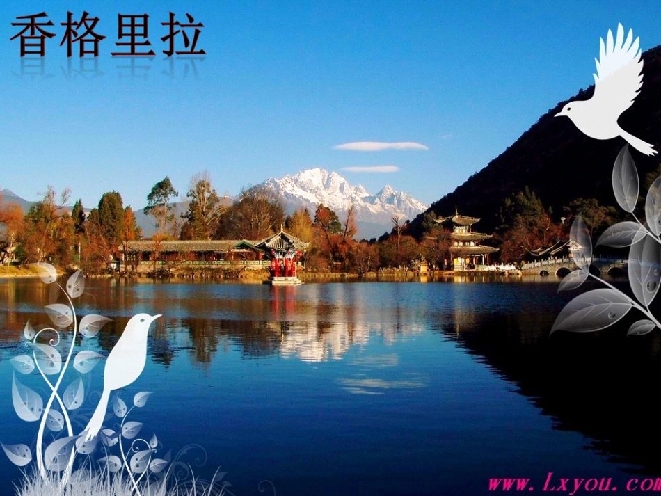 第一节分析人类活动对生态环境的影响_第3页