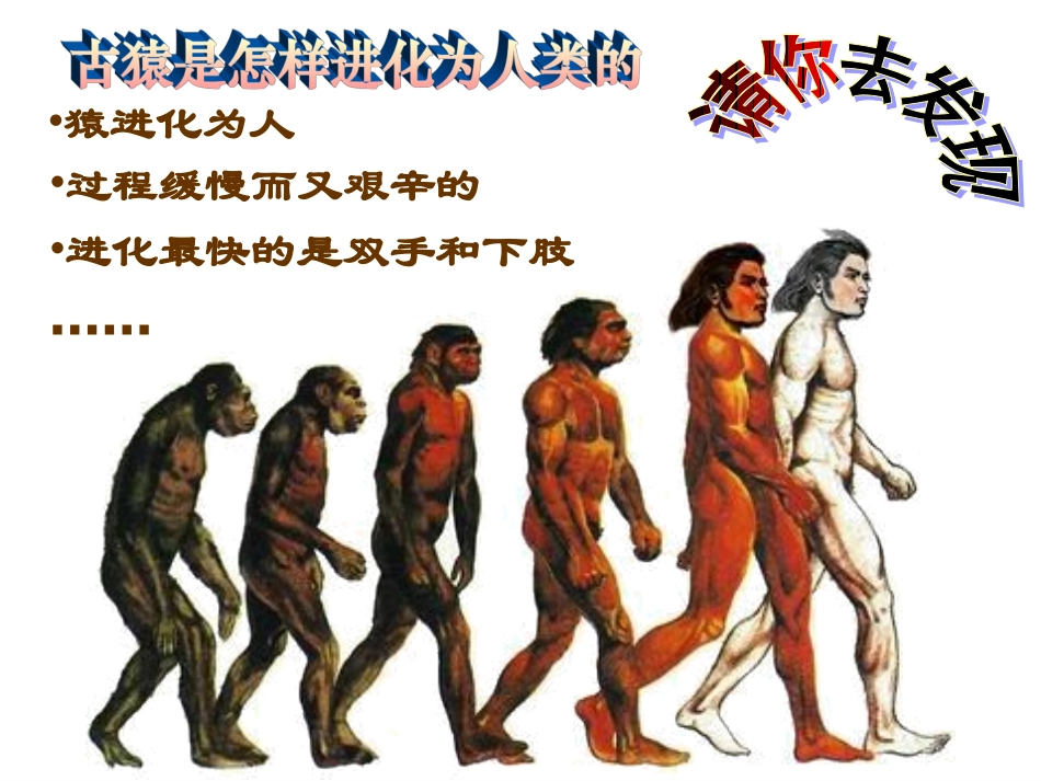 历史：第1课祖国境内的远古居民课件（人教版七上）_第2页